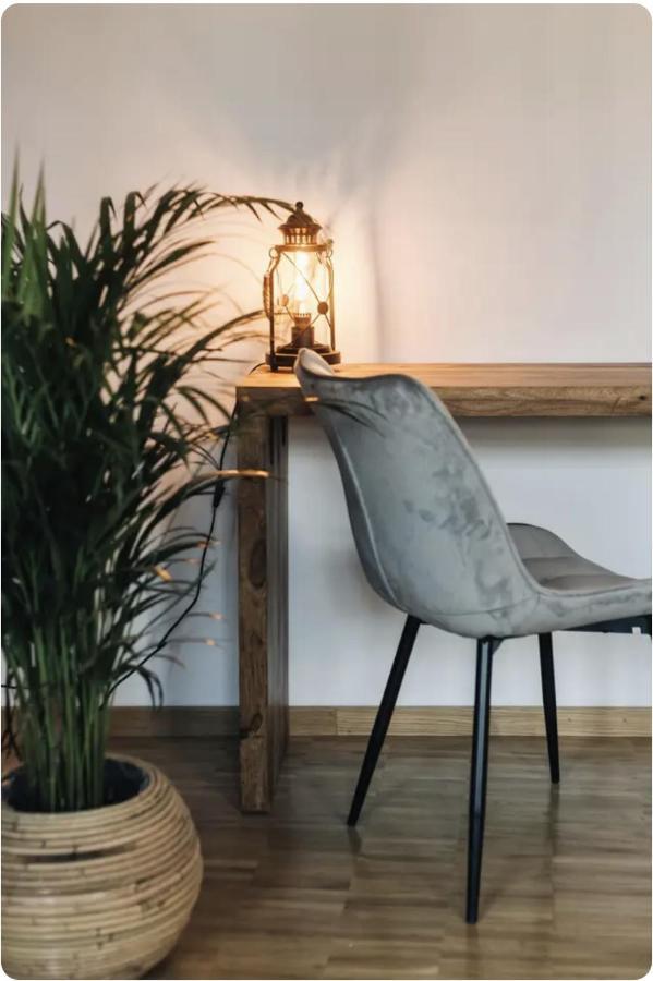 Tip! Zentraler Geht'S Nicht! Premium Apartment In Der Altstadt Drážďany Exteriér fotografie